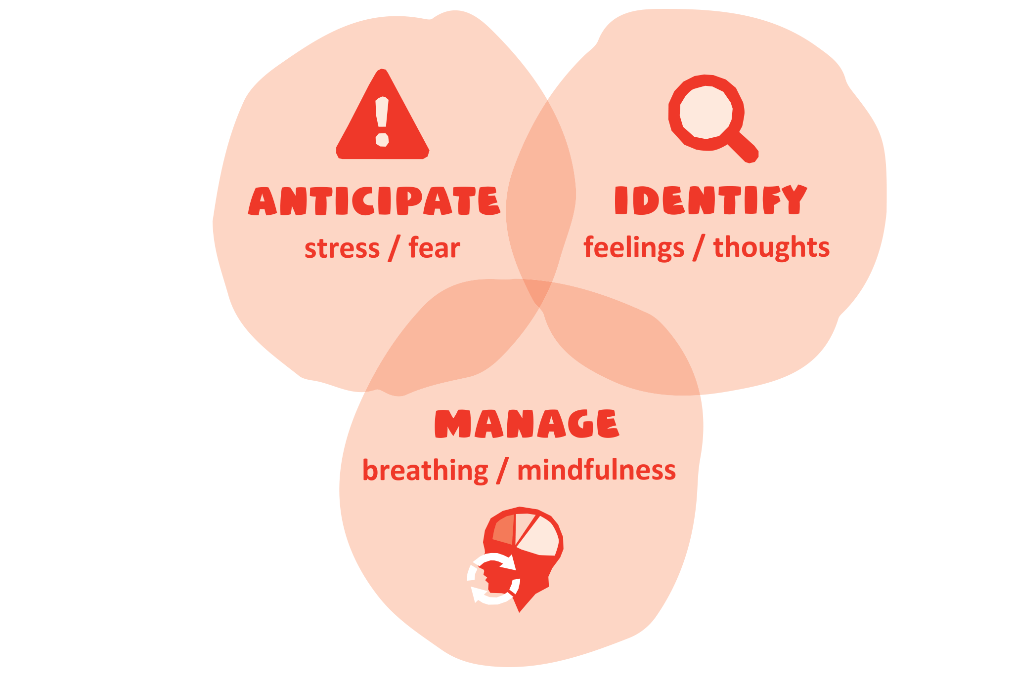 A diagram of three overlapping circles labelled anticipate, identify and manage.