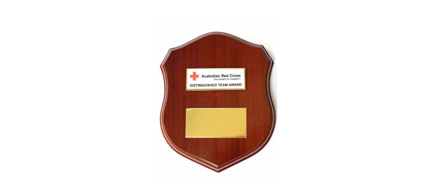 Distinguished Team Award